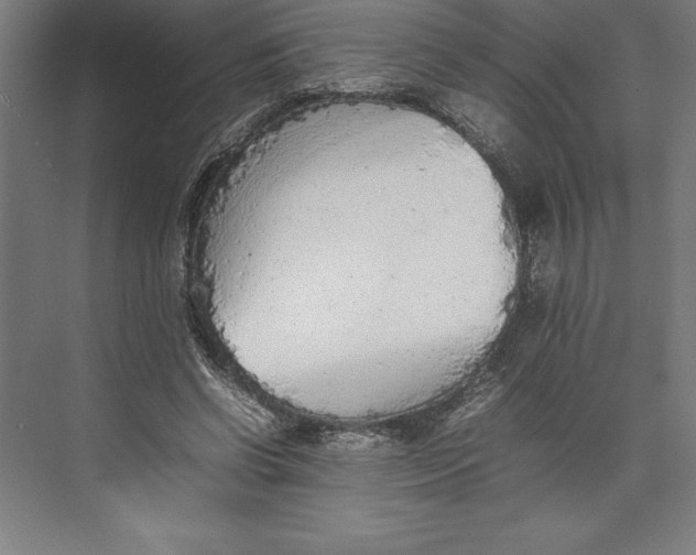 X0000074930542200609221641