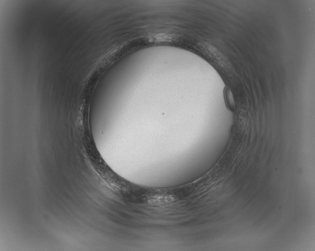 X0000074930543200609221641