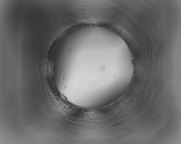 X0000074930544200609221641