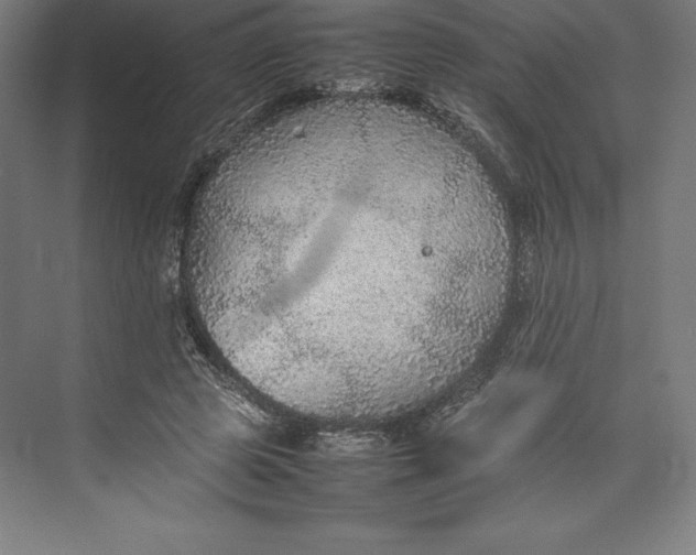 X0000074930545200609221641