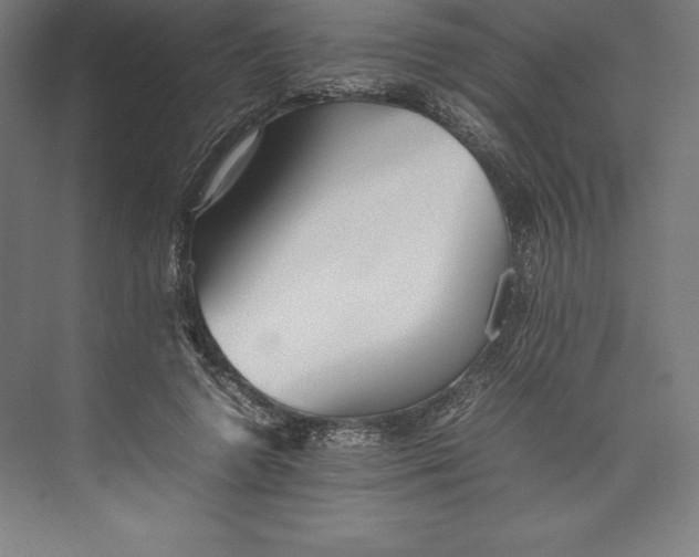 X0000074930546200609221641