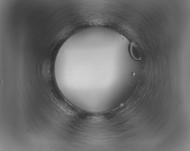 X0000074930548200609221642