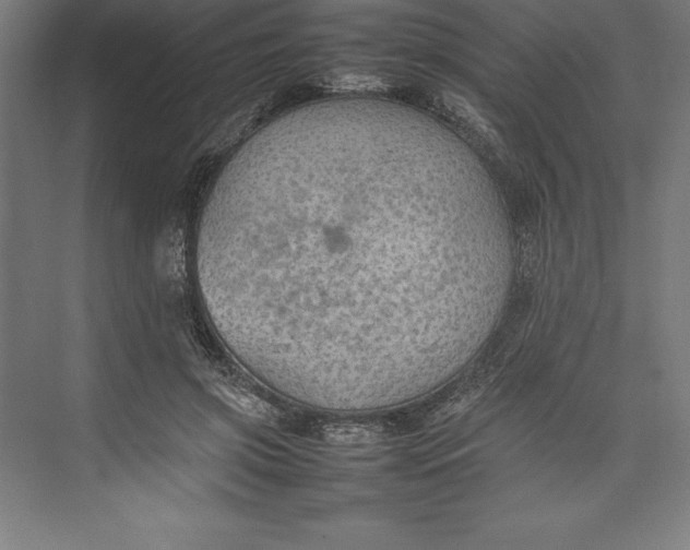 X0000074930549200609221642