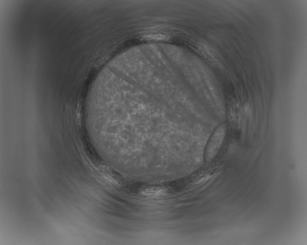 X0000074930551200609221642