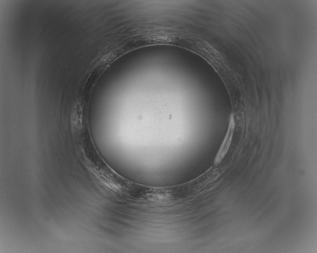 X0000074930552200609221642