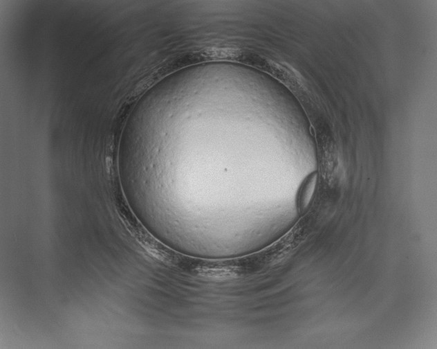 X0000074930553200609221642