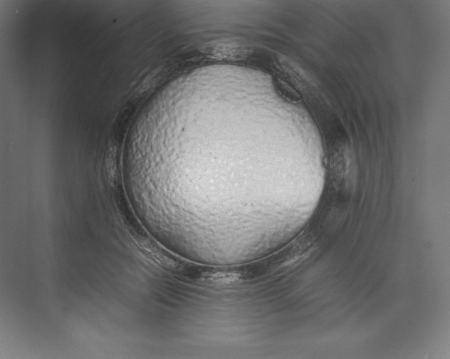 X0000074930554200609221642