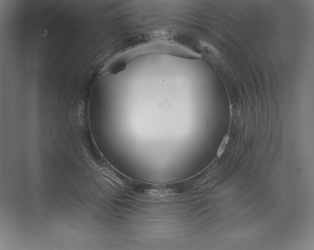 X0000074930556200609221642