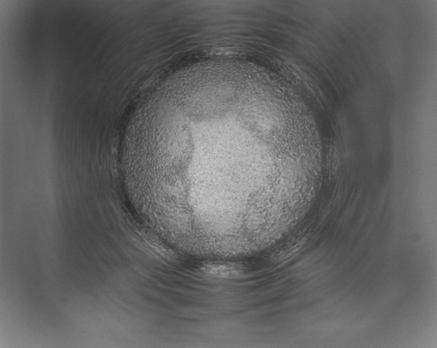 X0000074930557200609221642