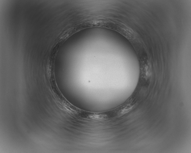 X0000074930558200609221642