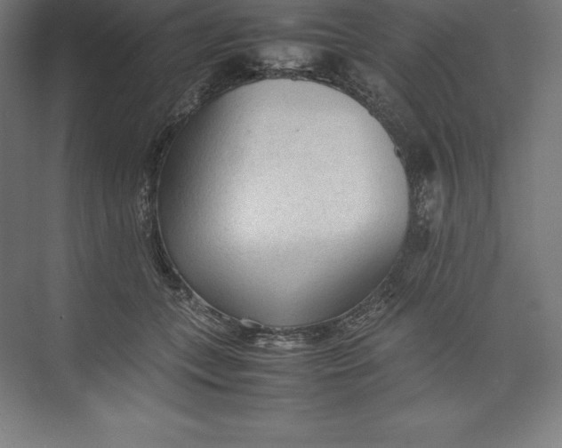 X0000074930559200609221642