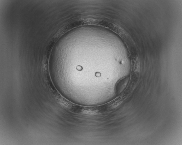 X0000074930561200609221642