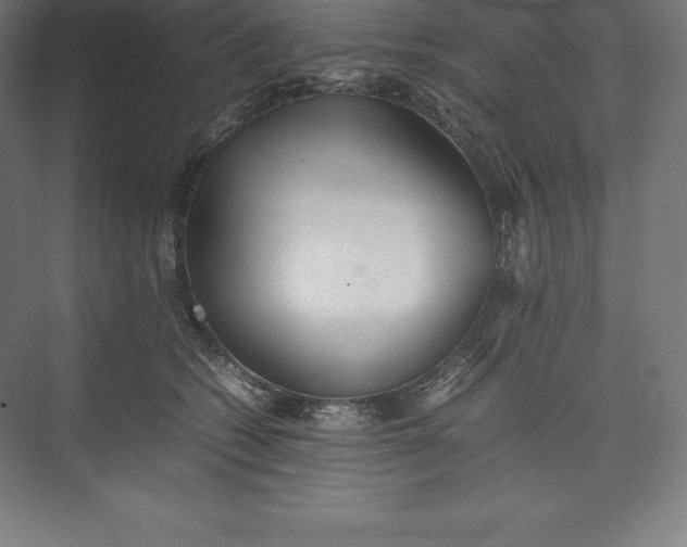 X0000074930562200609221642