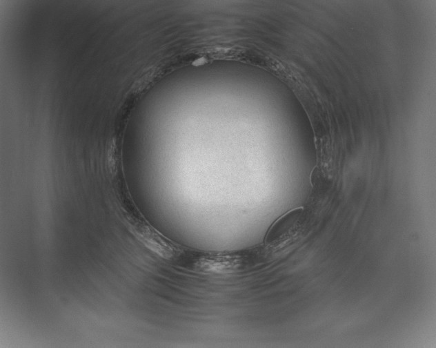 X0000074930563200609221642