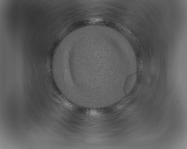 X0000074930565200609221642