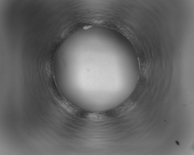 X0000074930568200609221642