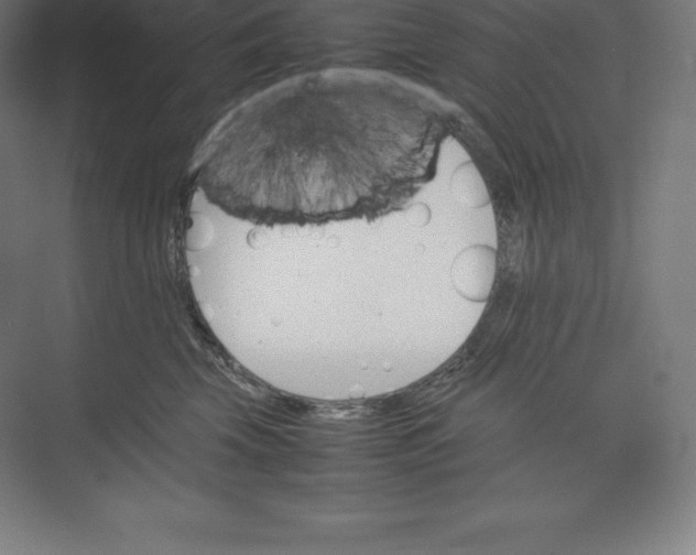 X0000074930569200609221642