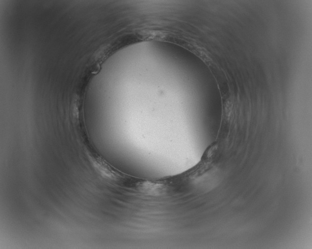 X0000074930570200609221642