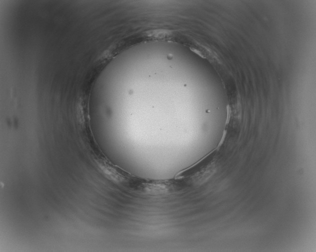 X0000074930572200609221642