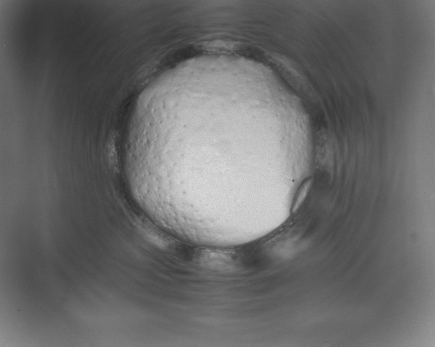 X0000074930573200609221642