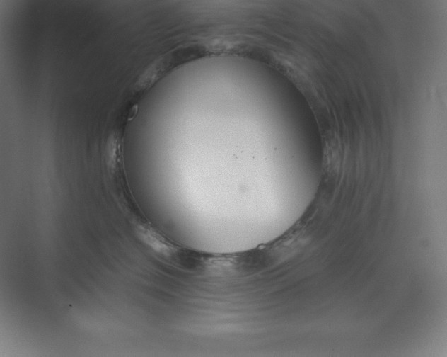 X0000074930574200609221642