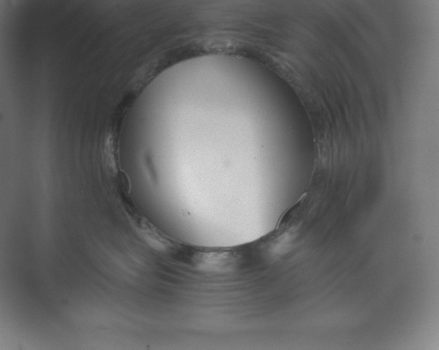 X0000074930575200609221642