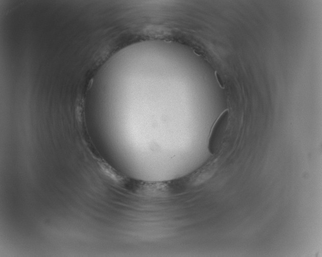 X0000074930576200609221642