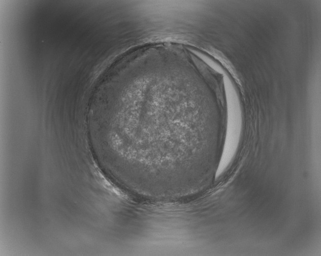 X0000074930577200609221641