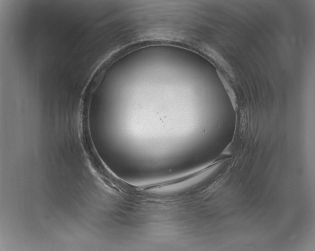 X0000074930580200609221641