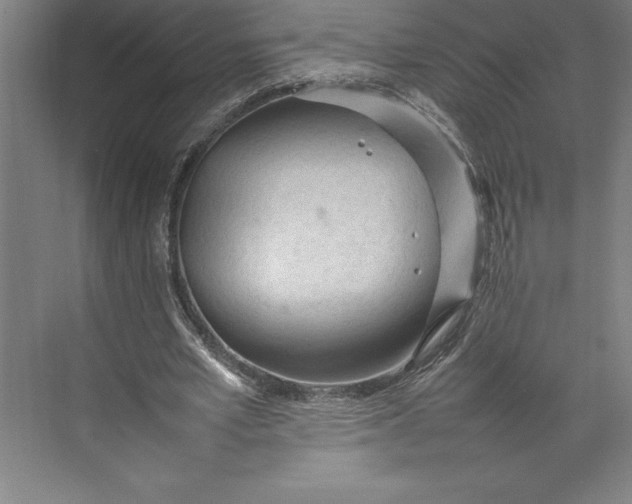 X0000074930581200609221641