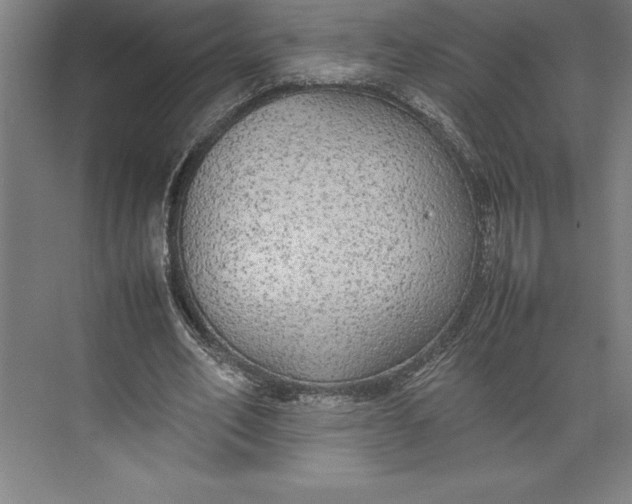 X0000074930582200609221641