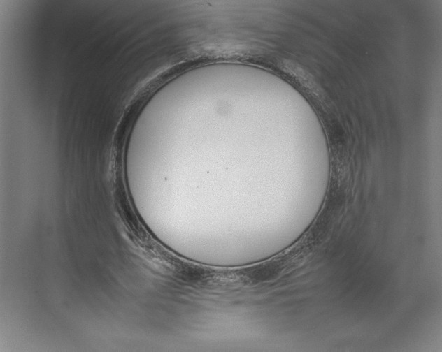 X0000074930583200609221641