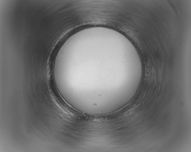 X0000074930584200609221641