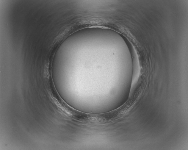 X0000074930585200609221641