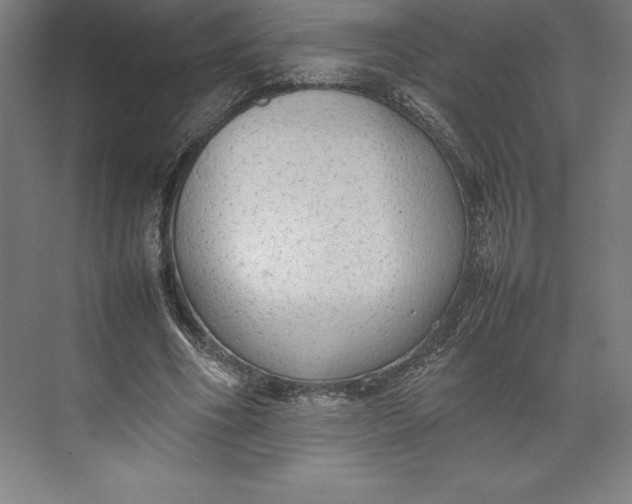 X0000074930586200609221641