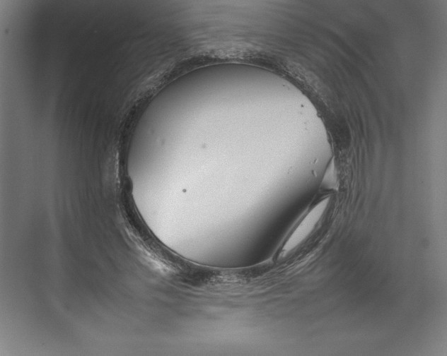 X0000074930589200609221641