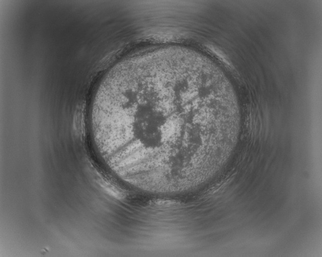 X0000074930590200609221641