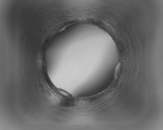 X0000074930593200609221641