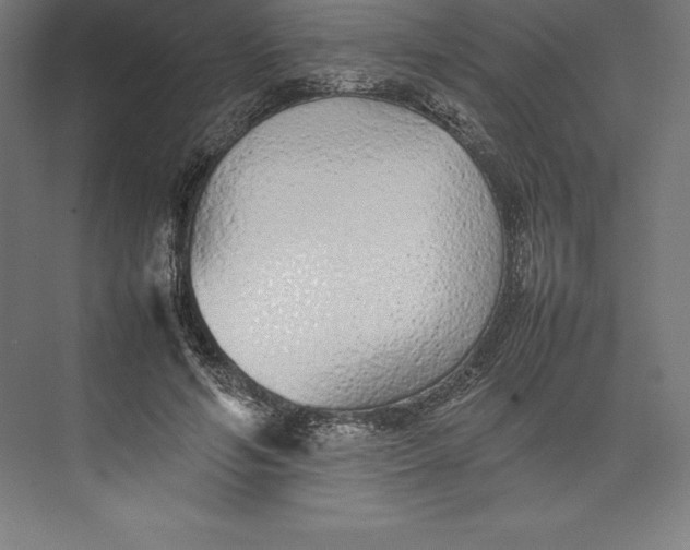 X0000074930594200609221641