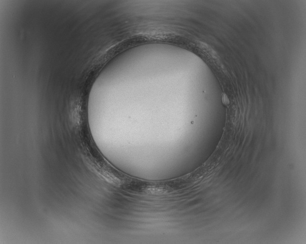 X0000074930596200609221641