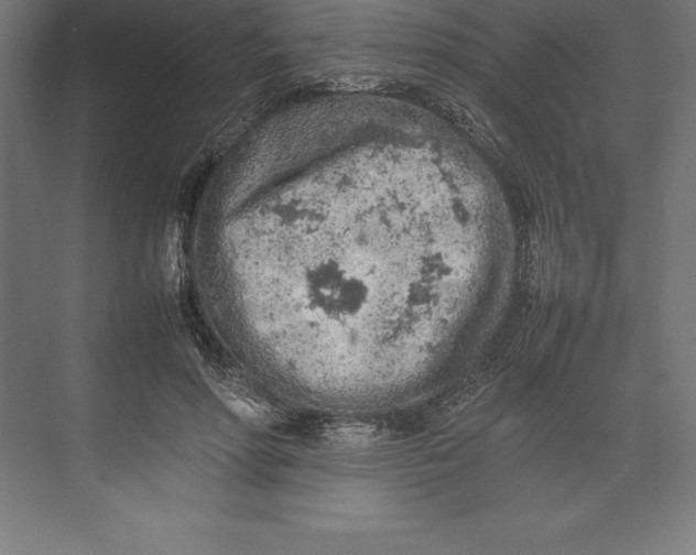 X0000074930598200609221641