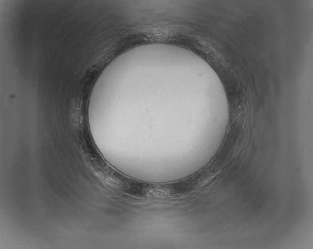 X0000074930599200609221641