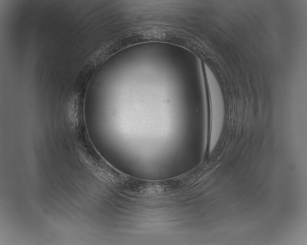 X0000074930600200609221641