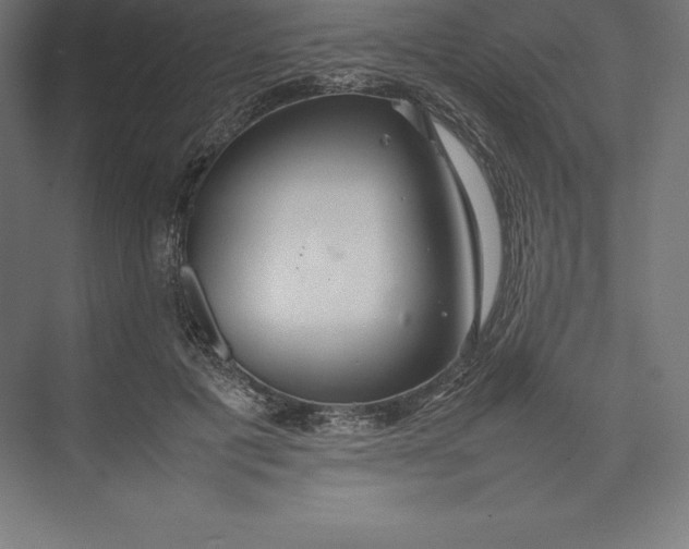 X0000074930601200609221641