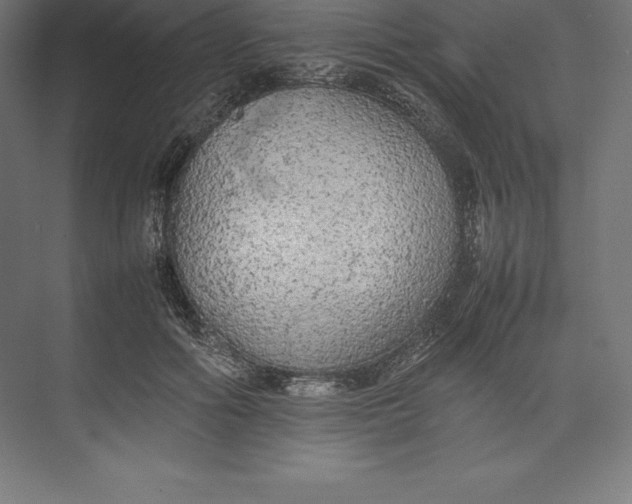 X0000074930602200609221641