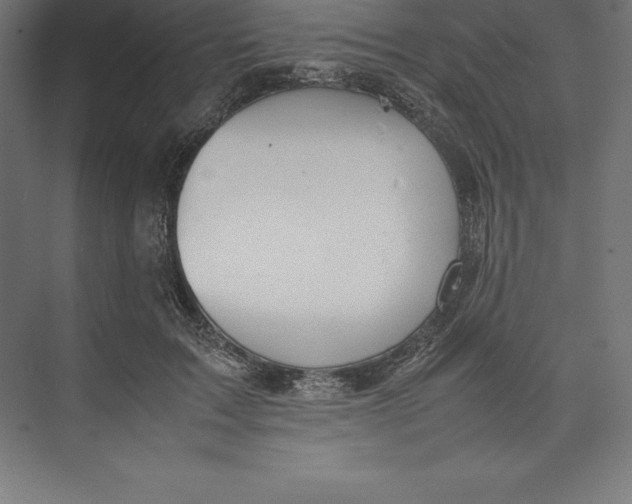 X0000074930603200609221641