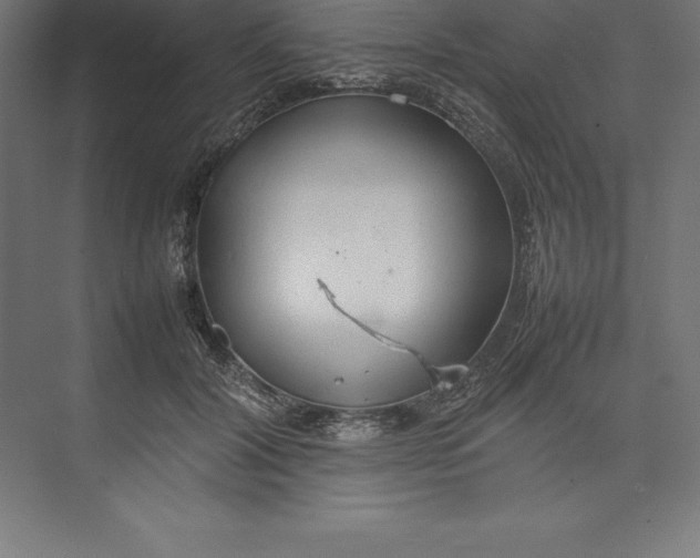 X0000074930604200609221641