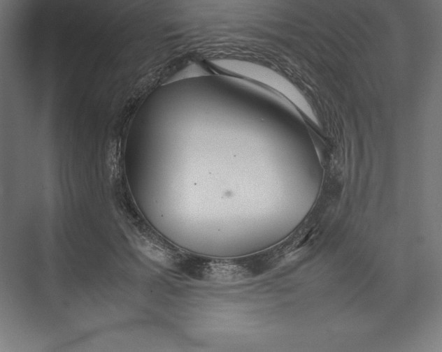 X0000074930605200609221641