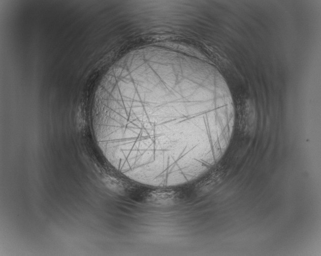 X0000074930606200609221641