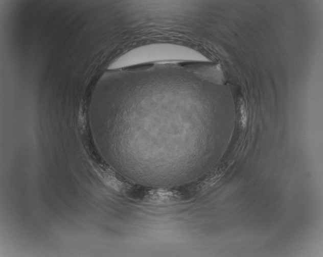 X0000074930607200609221641